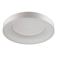 потолочный светодиодный светильник odeon light sole 4062/80cl в Смоленске