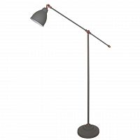 торшер arte lamp braccio a2054pn-1gy в Смоленске