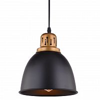 подвесной светильник arte lamp eurica a4245sp-1bk в Смоленске