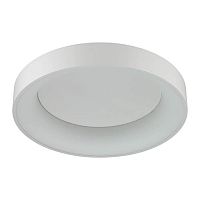 потолочный светодиодный светильник odeon light sole 4062/50cl в Смоленске